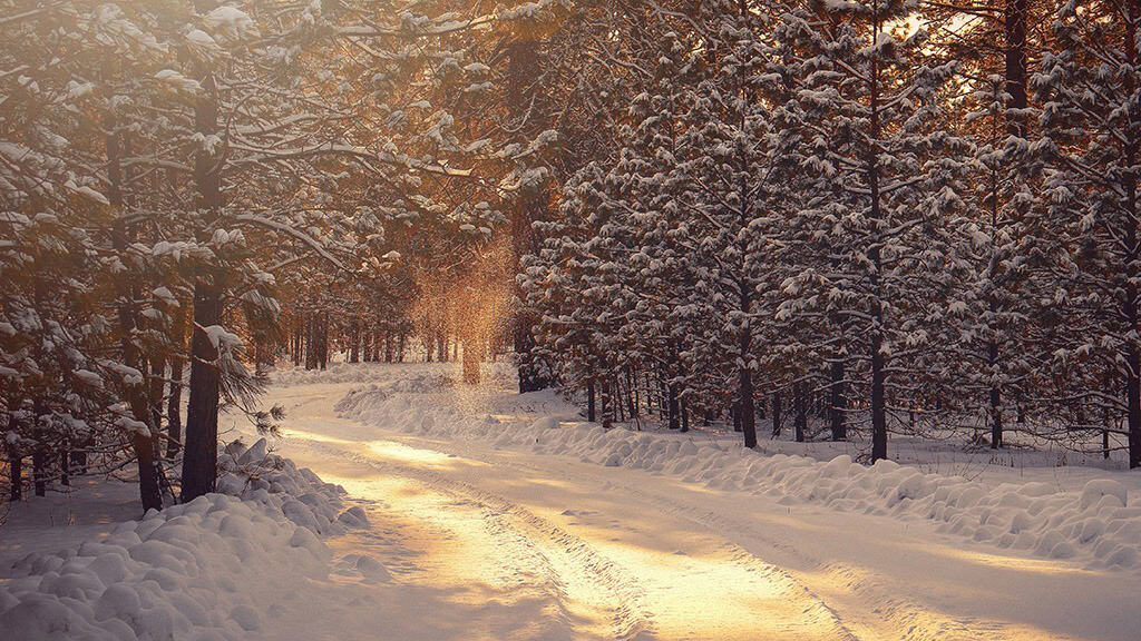 December 2024 Wallpapers – 79 Free Phone &amp; Desktop Calendars (+ Hanukkah &amp; Kwanzaa Options), Oh So Lovely Blog