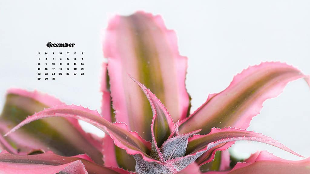 December 2024 Wallpapers – 79 Free Phone &amp; Desktop Calendars (+ Hanukkah &amp; Kwanzaa Options), Oh So Lovely Blog