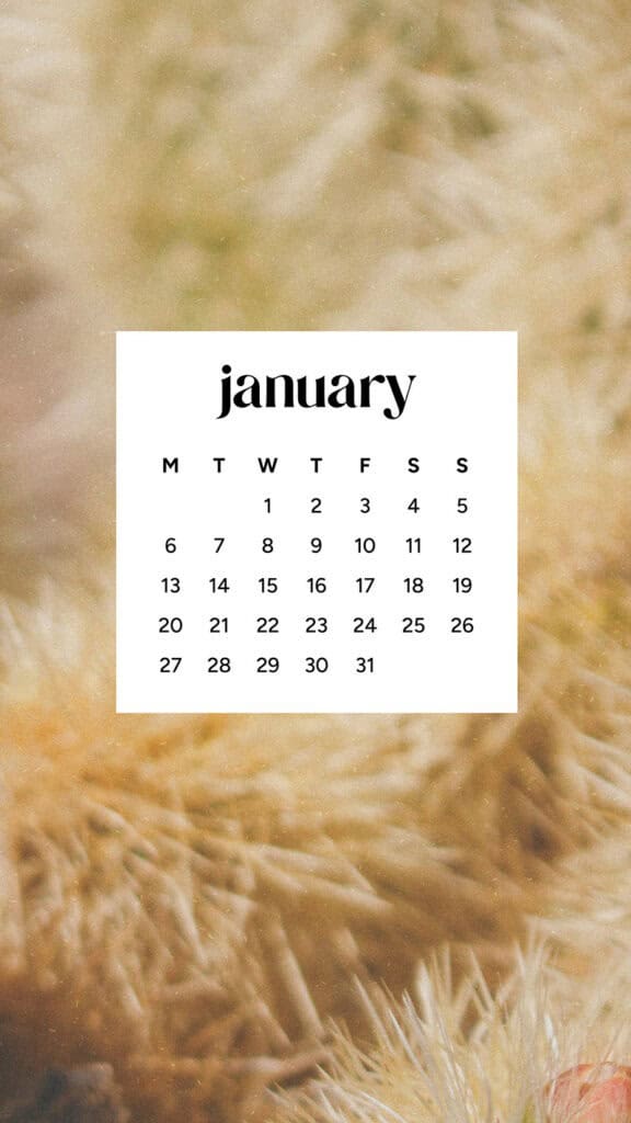 January 2025 – 55 Free Phone &amp; Desktop Calendars!, Oh So Lovely Blog
