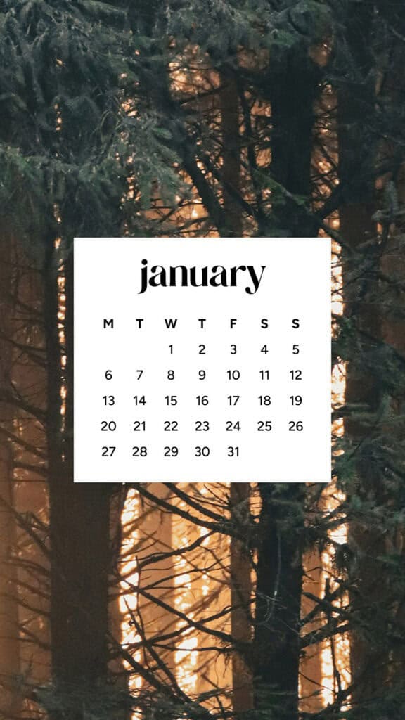 January 2025 – 55 Free Phone &amp; Desktop Calendars!, Oh So Lovely Blog