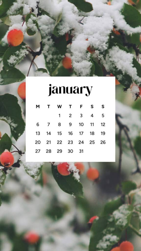 January 2025 – 55 Free Phone &amp; Desktop Calendars!, Oh So Lovely Blog