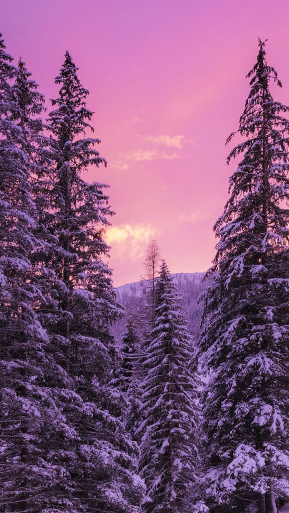 January 2025 – 55 Free Phone &amp; Desktop Calendars!, Oh So Lovely Blog