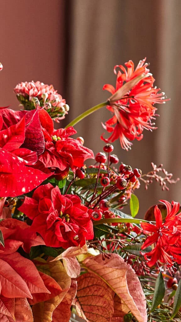 January 2025 – 55 Free Phone &amp; Desktop Calendars!, Oh So Lovely Blog