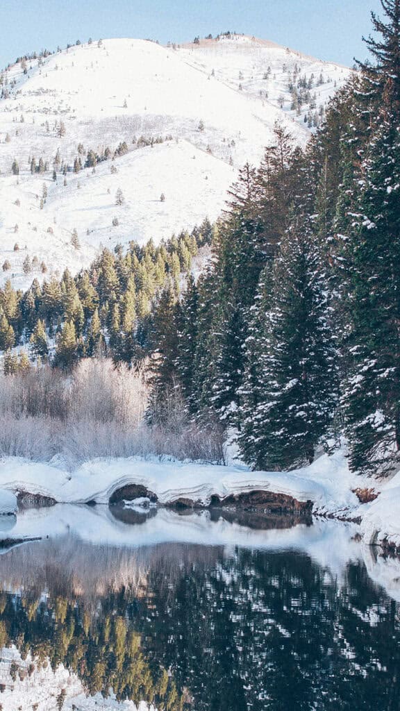 January 2025 – 55 Free Phone &amp; Desktop Calendars!, Oh So Lovely Blog