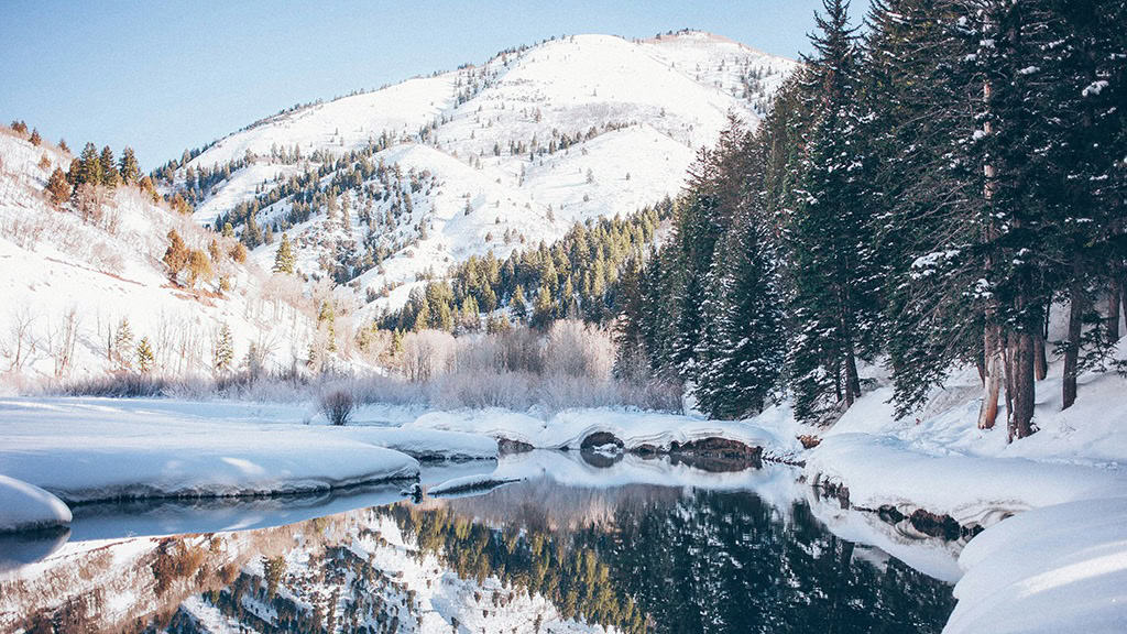 January 2025 – 55 Free Phone &amp; Desktop Calendars!, Oh So Lovely Blog