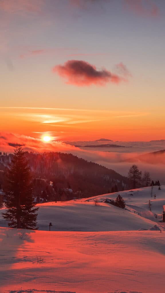 January 2025 – 55 Free Phone &amp; Desktop Calendars!, Oh So Lovely Blog