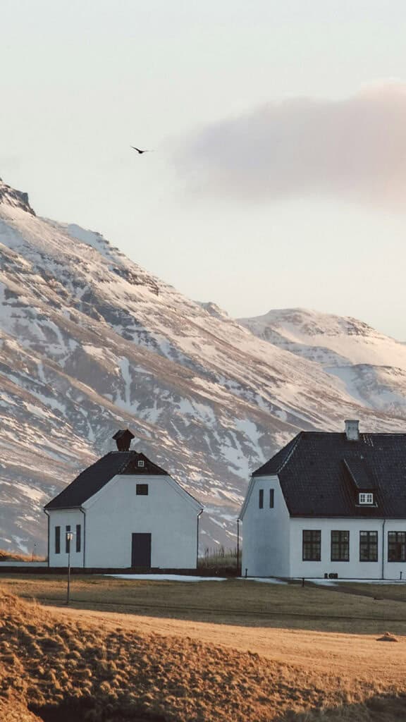 January 2025 – 55 Free Phone &amp; Desktop Calendars!, Oh So Lovely Blog