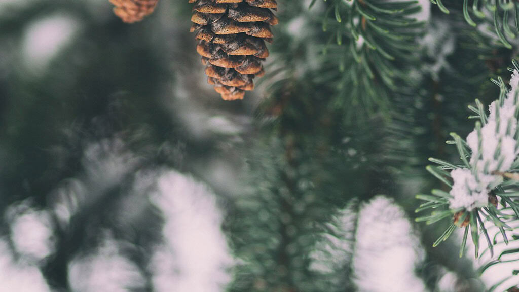 January 2025 – 55 Free Phone &amp; Desktop Calendars!, Oh So Lovely Blog