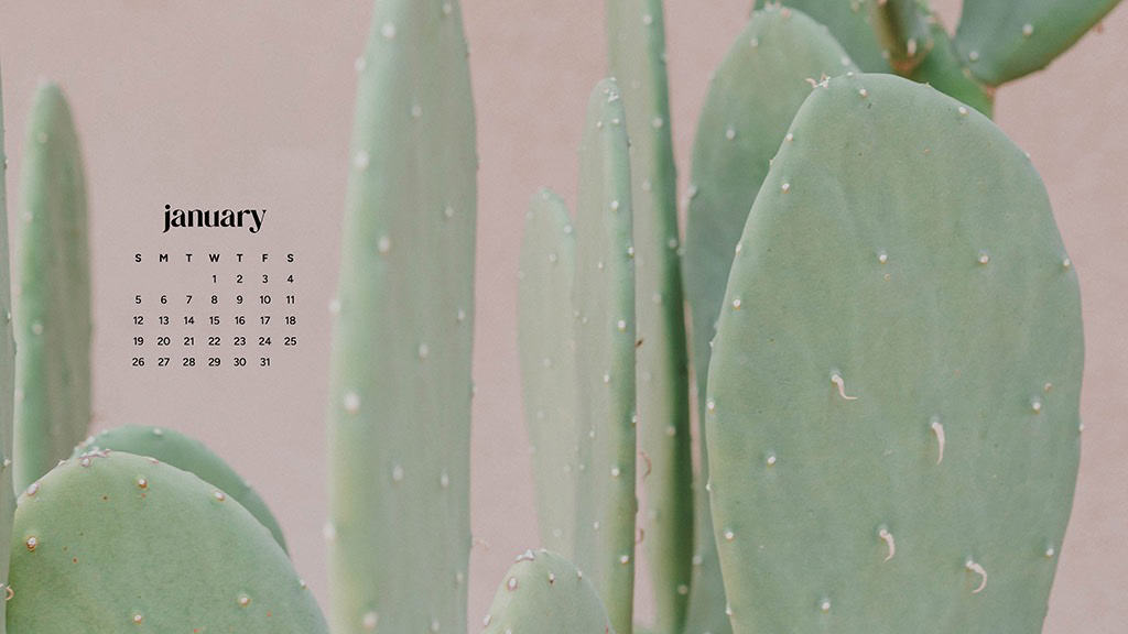 January 2025 – 55 Free Phone &amp; Desktop Calendars!, Oh So Lovely Blog