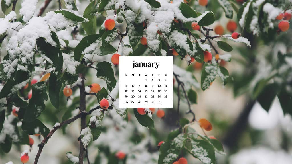 January 2025 – 55 Free Phone &amp; Desktop Calendars!, Oh So Lovely Blog