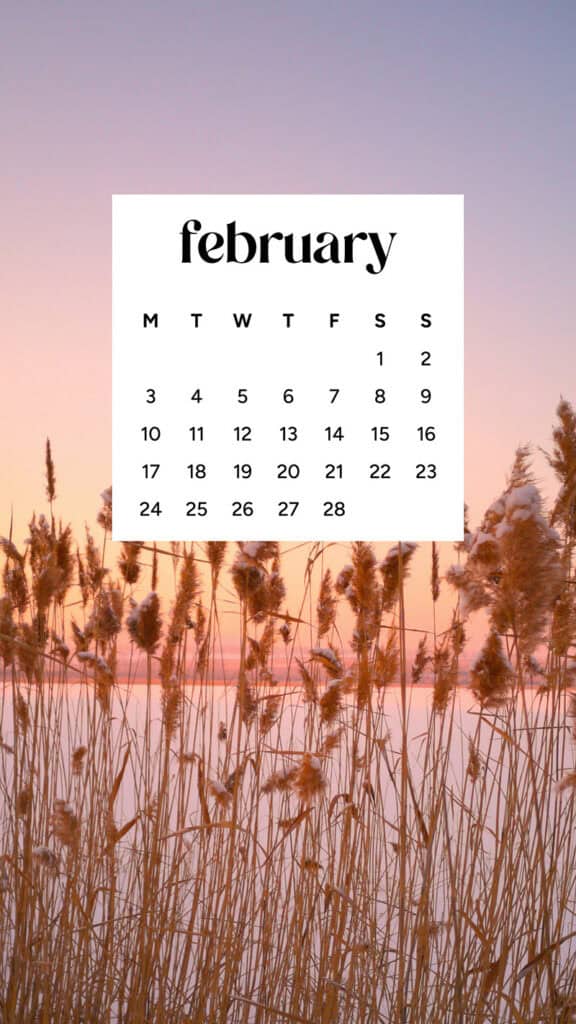 February 2025 wallpapers – 55 free phone &#038; desktop calendars + Black History Month options, Oh So Lovely Blog