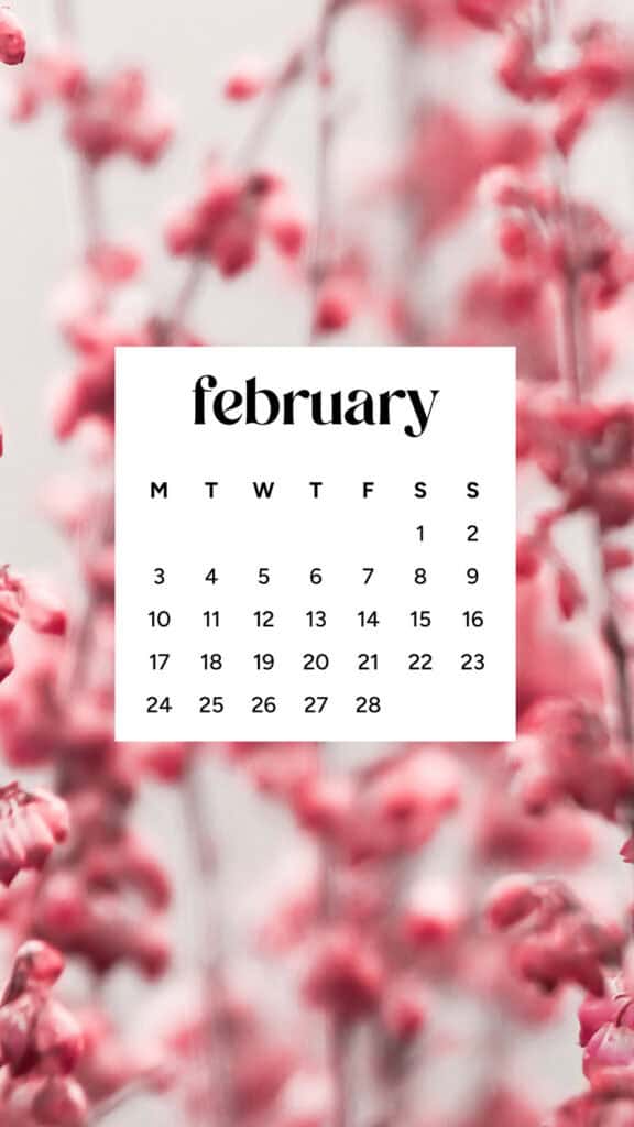 February 2025 wallpapers – 55 free phone &#038; desktop calendars + Black History Month options, Oh So Lovely Blog