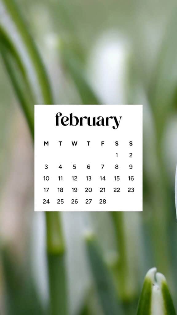 February 2025 wallpapers – 55 free phone &#038; desktop calendars + Black History Month options, Oh So Lovely Blog