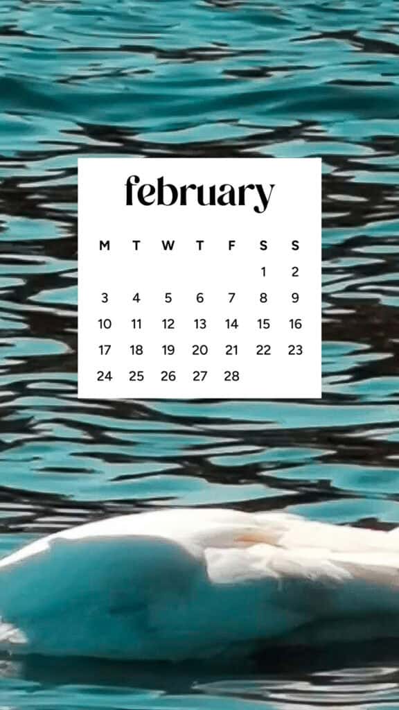 February 2025 wallpapers – 55 free phone &#038; desktop calendars + Black History Month options, Oh So Lovely Blog