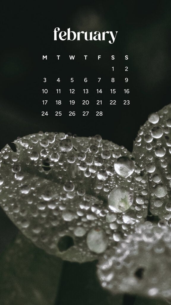 February 2025 wallpapers – 55 free phone &#038; desktop calendars + Black History Month options, Oh So Lovely Blog