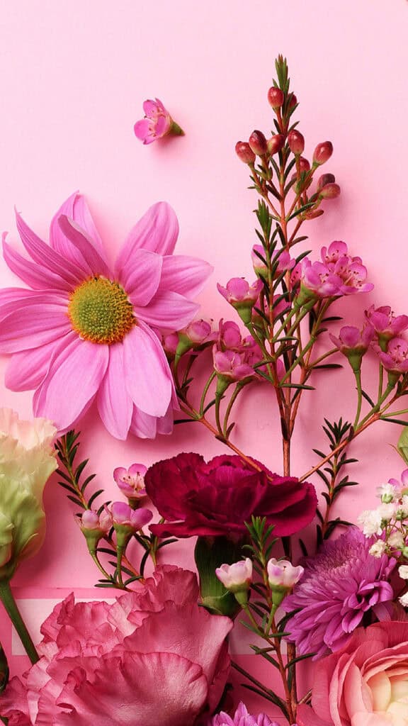 February 2025 wallpapers – 55 free phone &#038; desktop calendars + Black History Month options, Oh So Lovely Blog