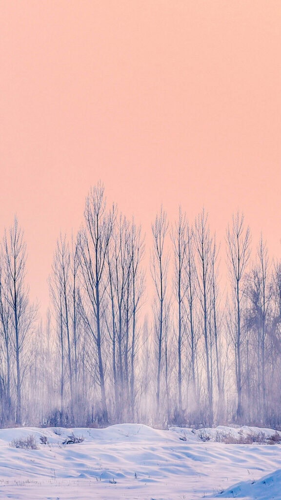 February 2025 wallpapers – 55 free phone &#038; desktop calendars + Black History Month options, Oh So Lovely Blog