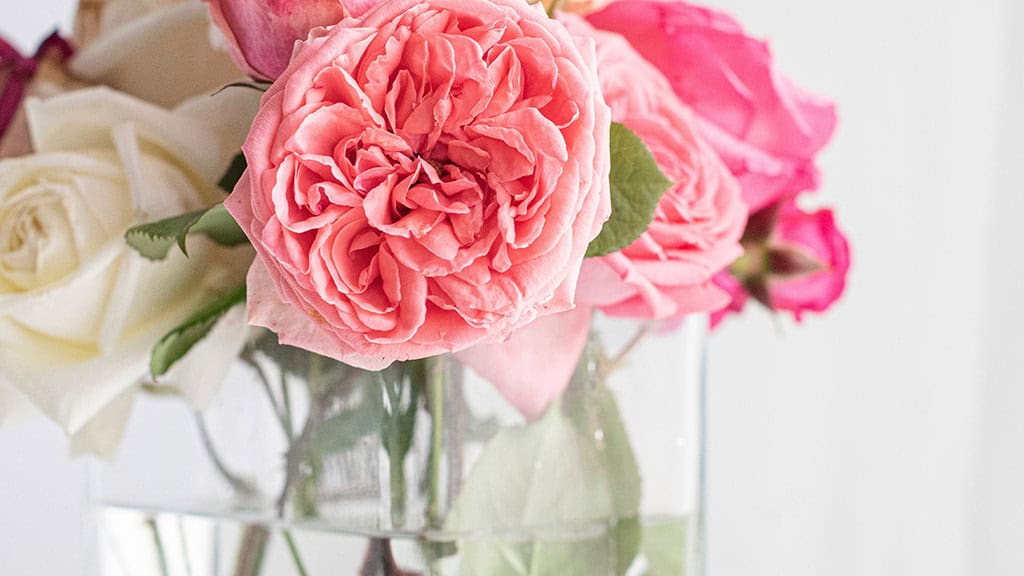 February 2025 wallpapers – 55 free phone &#038; desktop calendars + Black History Month options, Oh So Lovely Blog