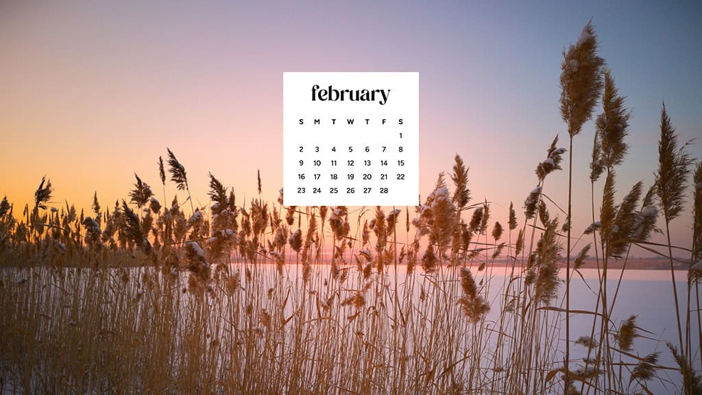 February 2025 wallpapers – 55 free phone &#038; desktop calendars + Black History Month options, Oh So Lovely Blog