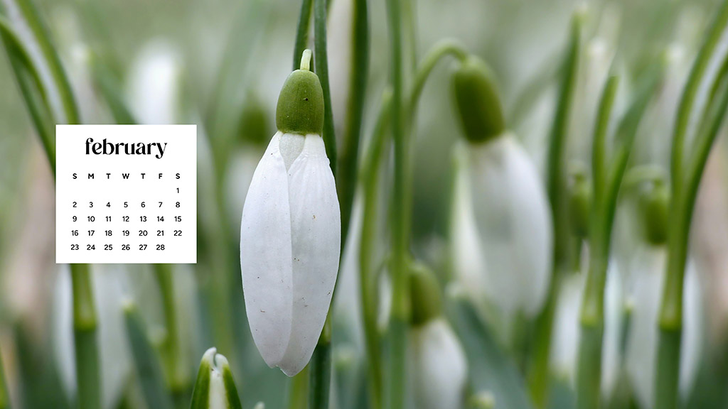 February 2025 wallpapers – 55 free phone &#038; desktop calendars + Black History Month options, Oh So Lovely Blog