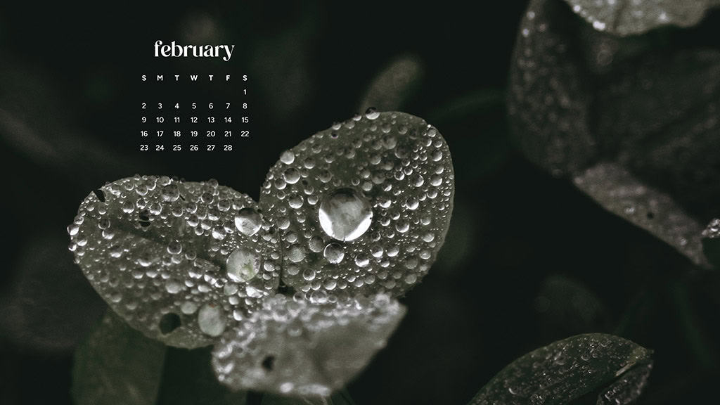 February 2025 wallpapers – 55 free phone &#038; desktop calendars + Black History Month options, Oh So Lovely Blog
