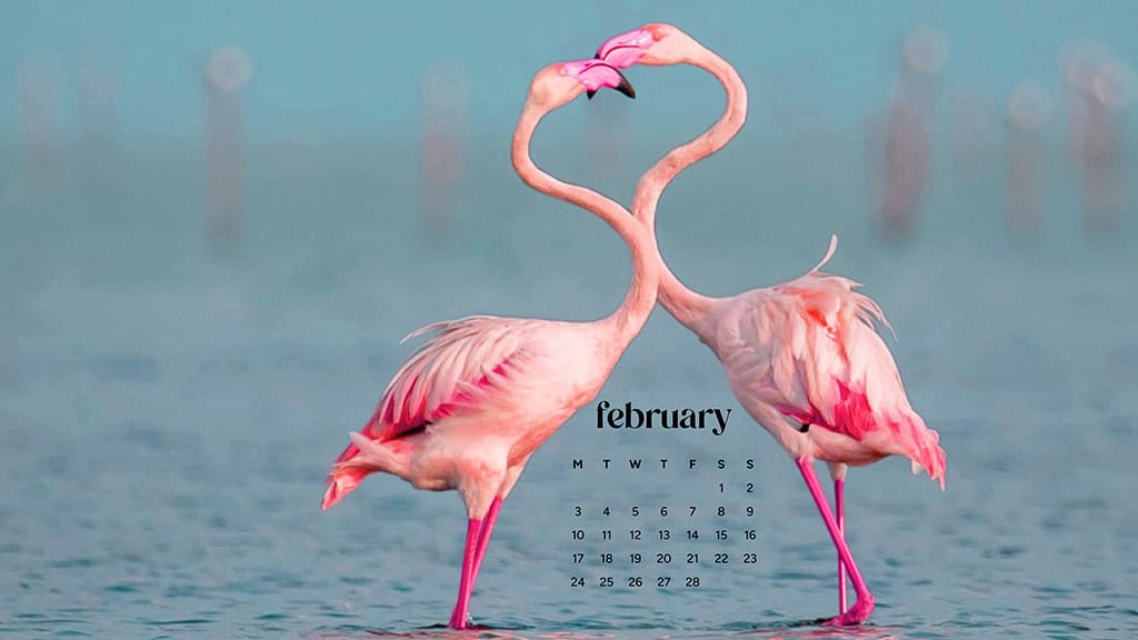 February 2025 wallpapers – 55 free phone &#038; desktop calendars + Black History Month options, Oh So Lovely Blog