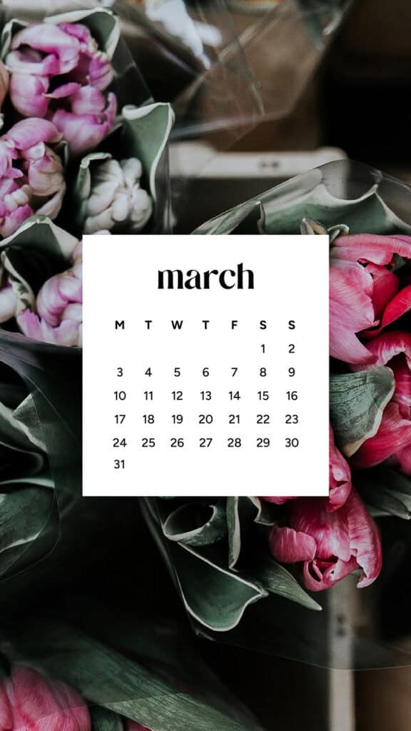 MARCH 2025 WALLPAPERS – 55 FREE PHONE &amp; DESKTOP Options + Women&#8217;s History Month, Oh So Lovely Blog