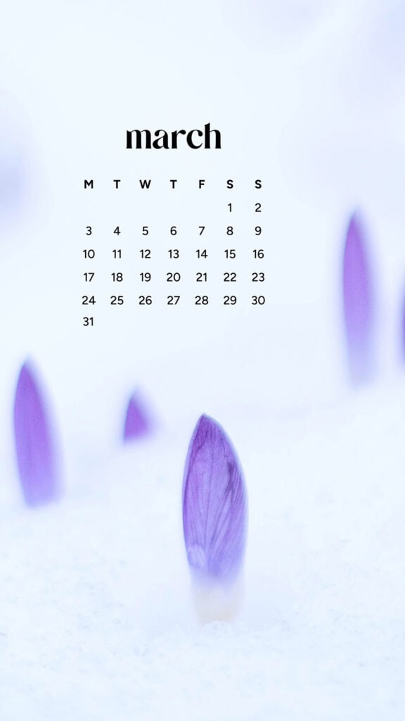 MARCH 2025 WALLPAPERS – 55 FREE PHONE &amp; DESKTOP Options + Women&#8217;s History Month, Oh So Lovely Blog