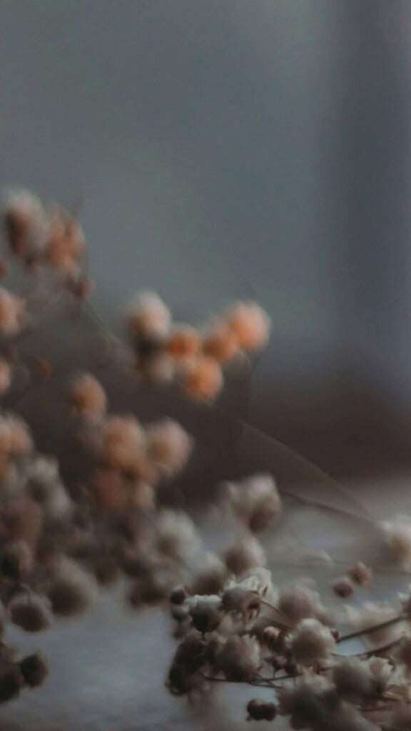MARCH 2025 WALLPAPERS – 55 FREE PHONE &amp; DESKTOP Options + Women&#8217;s History Month, Oh So Lovely Blog