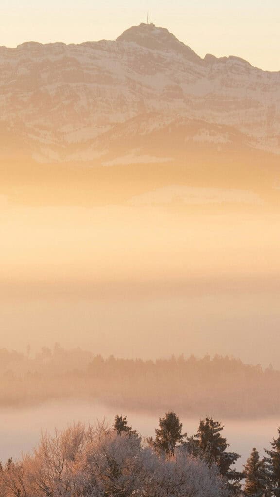 MARCH 2025 WALLPAPERS – 55 FREE PHONE &amp; DESKTOP Options + Women&#8217;s History Month, Oh So Lovely Blog