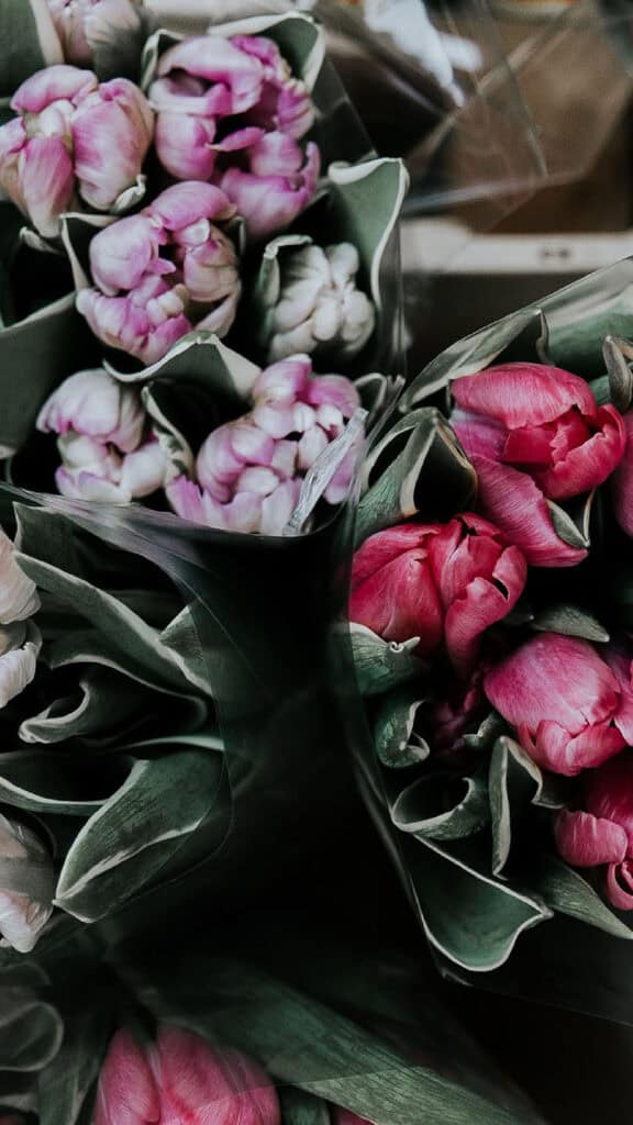 MARCH 2025 WALLPAPERS – 55 FREE PHONE &amp; DESKTOP Options + Women&#8217;s History Month, Oh So Lovely Blog