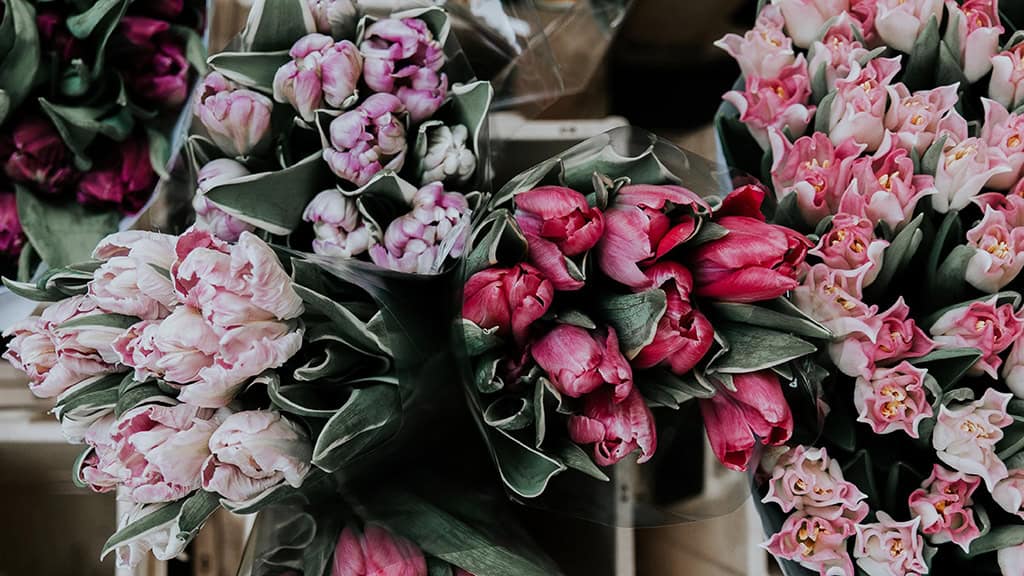 MARCH 2025 WALLPAPERS – 55 FREE PHONE &amp; DESKTOP Options + Women&#8217;s History Month, Oh So Lovely Blog