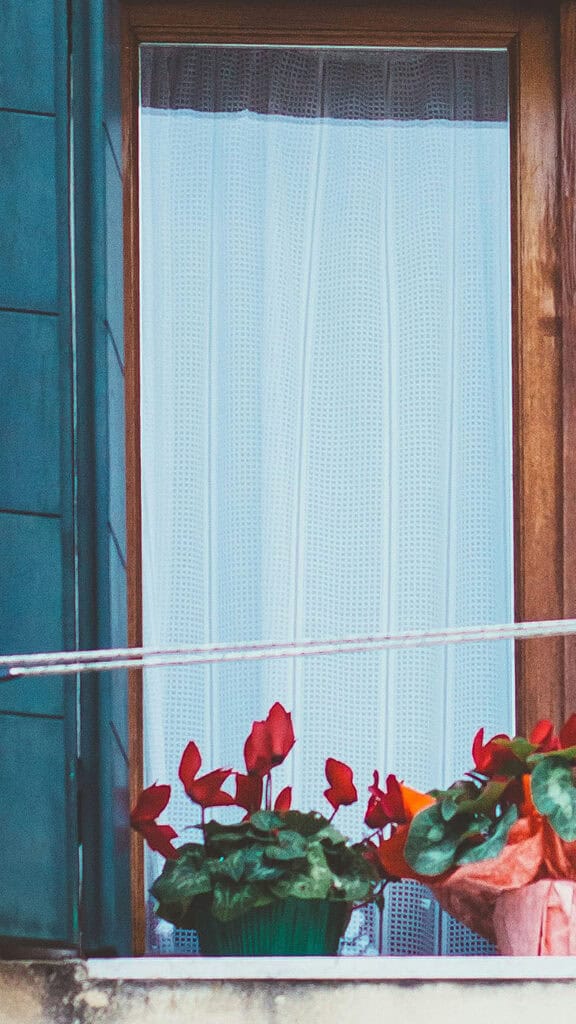MARCH 2025 WALLPAPERS – 55 FREE PHONE &amp; DESKTOP Options + Women&#8217;s History Month, Oh So Lovely Blog