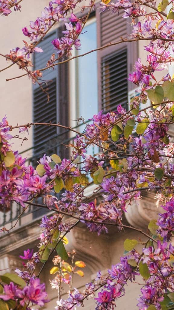 MARCH 2025 WALLPAPERS – 55 FREE PHONE &amp; DESKTOP Options + Women&#8217;s History Month, Oh So Lovely Blog
