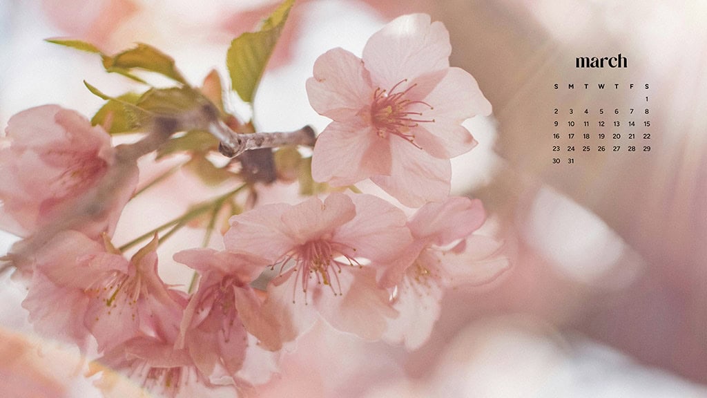 MARCH 2025 WALLPAPERS – 55 FREE PHONE &amp; DESKTOP Options + Women&#8217;s History Month, Oh So Lovely Blog