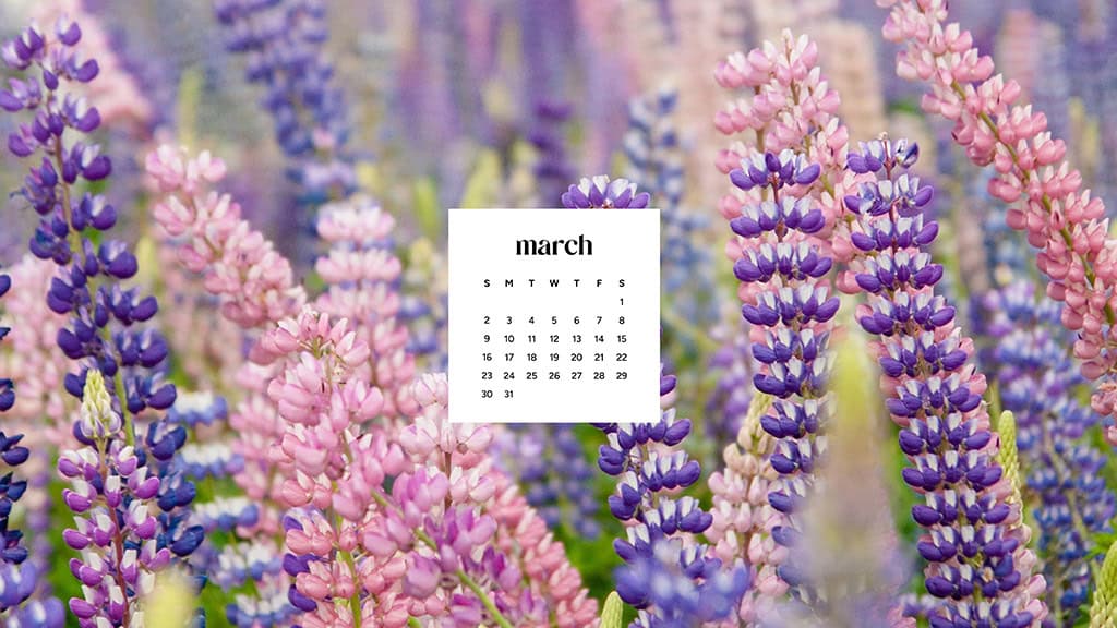 MARCH 2025 WALLPAPERS – 55 FREE PHONE &amp; DESKTOP Options + Women&#8217;s History Month, Oh So Lovely Blog