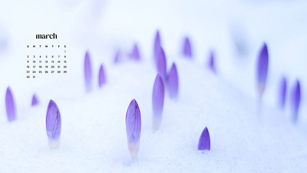 MARCH 2025 WALLPAPERS – 55 FREE PHONE &amp; DESKTOP Options + Women&#8217;s History Month, Oh So Lovely Blog