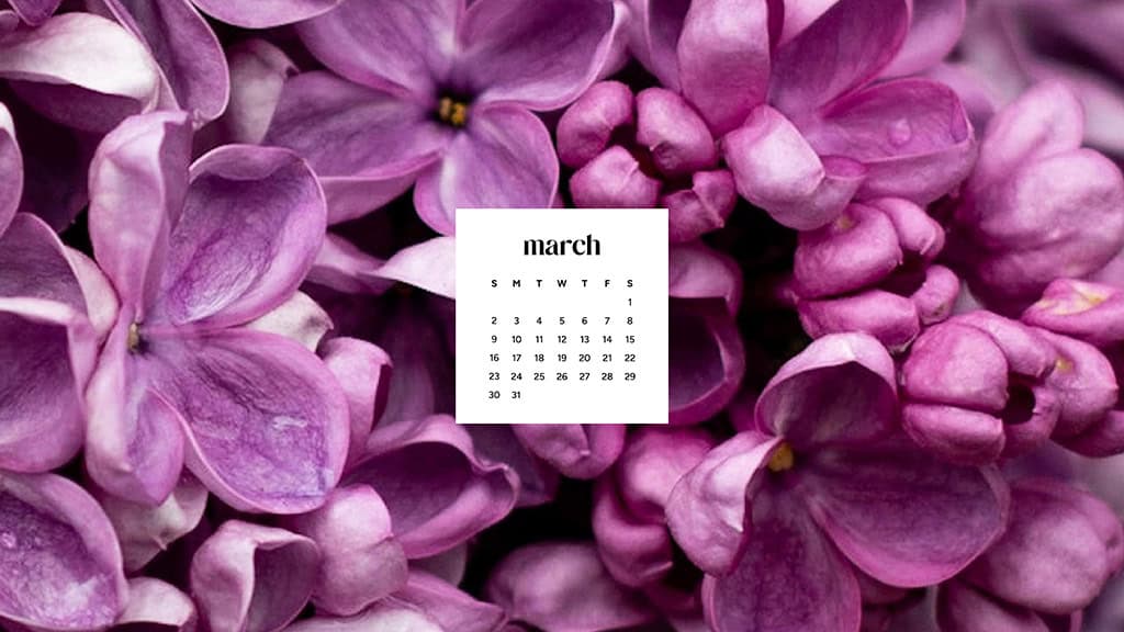 MARCH 2025 WALLPAPERS – 55 FREE PHONE &amp; DESKTOP Options + Women&#8217;s History Month, Oh So Lovely Blog