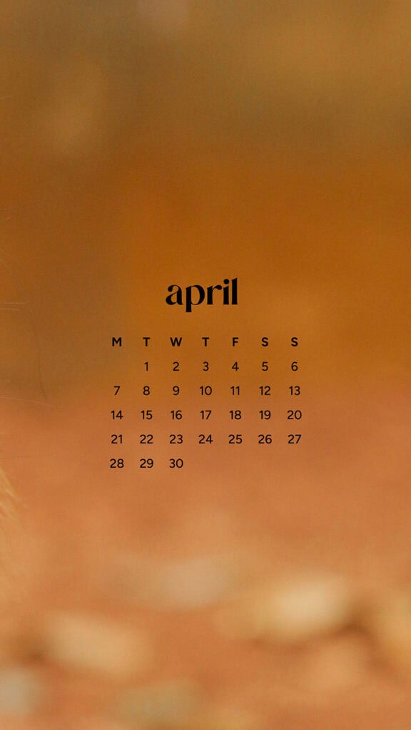 April 2025 Wallpapers – 40 Free Phone &#038; Desktop Calendars!, Oh So Lovely Blog