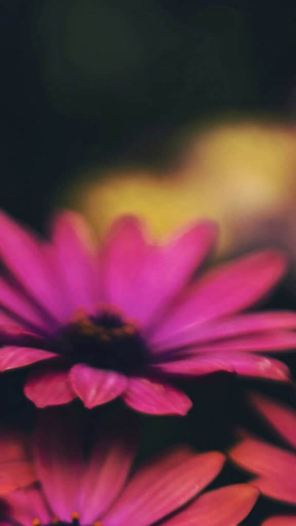 April 2025 Wallpapers – 40 Free Phone &#038; Desktop Calendars!, Oh So Lovely Blog