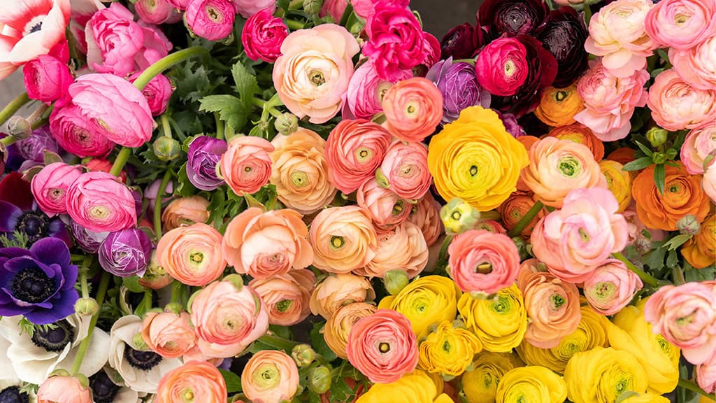 April 2025 Wallpapers – 40 Free Phone &#038; Desktop Calendars!, Oh So Lovely Blog