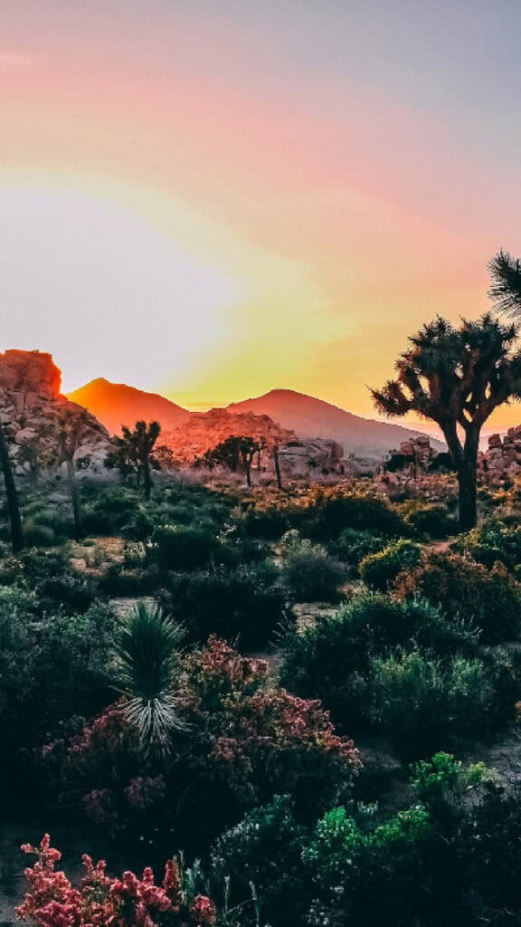 April 2025 Wallpapers – 40 Free Phone &#038; Desktop Calendars!, Oh So Lovely Blog