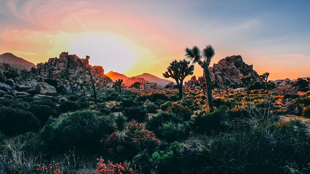 April 2025 Wallpapers – 40 Free Phone &#038; Desktop Calendars!, Oh So Lovely Blog
