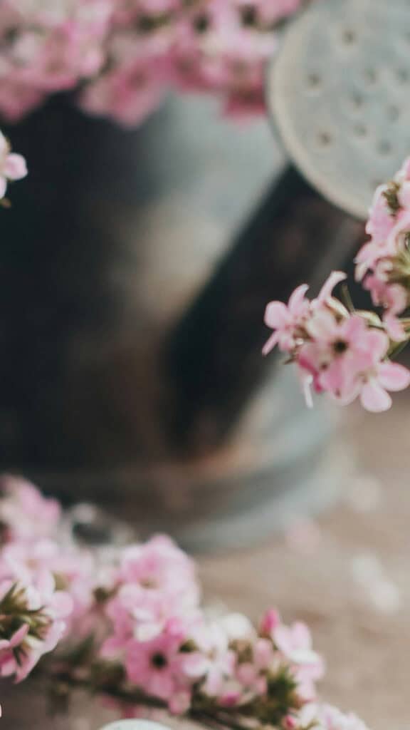 April 2025 Wallpapers – 40 Free Phone &#038; Desktop Calendars!, Oh So Lovely Blog
