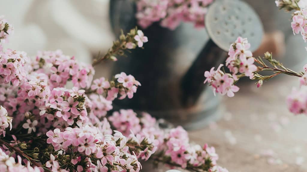 April 2025 Wallpapers – 40 Free Phone &#038; Desktop Calendars!, Oh So Lovely Blog