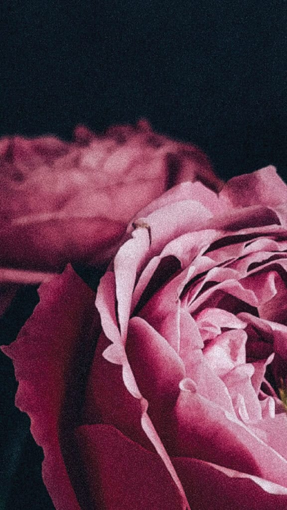 April 2025 Wallpapers – 40 Free Phone &#038; Desktop Calendars!, Oh So Lovely Blog