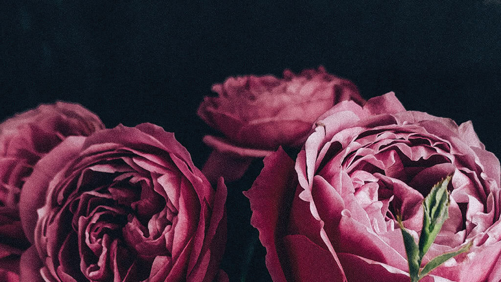 April 2025 Wallpapers – 40 Free Phone &#038; Desktop Calendars!, Oh So Lovely Blog
