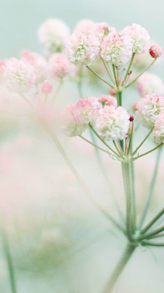 April 2025 Wallpapers – 40 Free Phone &#038; Desktop Calendars!, Oh So Lovely Blog