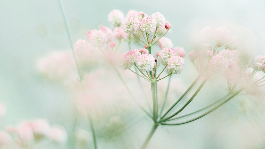 April 2025 Wallpapers – 40 Free Phone &#038; Desktop Calendars!, Oh So Lovely Blog