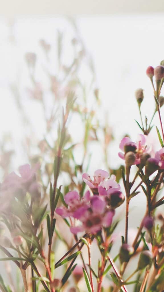 April 2025 Wallpapers – 40 Free Phone &#038; Desktop Calendars!, Oh So Lovely Blog